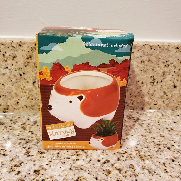 Animal Planters, Woodland 4pc Set, Squirrel Deer Owl Hedgehog plant pots - Picture 5 of 11